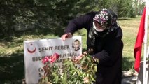 Teröristlerin katlettiği şehit Bedirhan bebek ve annesi Sivas'ta anıldı