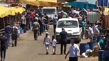 Скачать видео: Arife günü kurban pazarlarında hareketlilik yaşanıyor