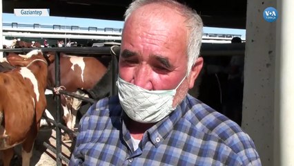 Kurbanlık Pazarlarında Alıcı da Satıcı da Mutsuz