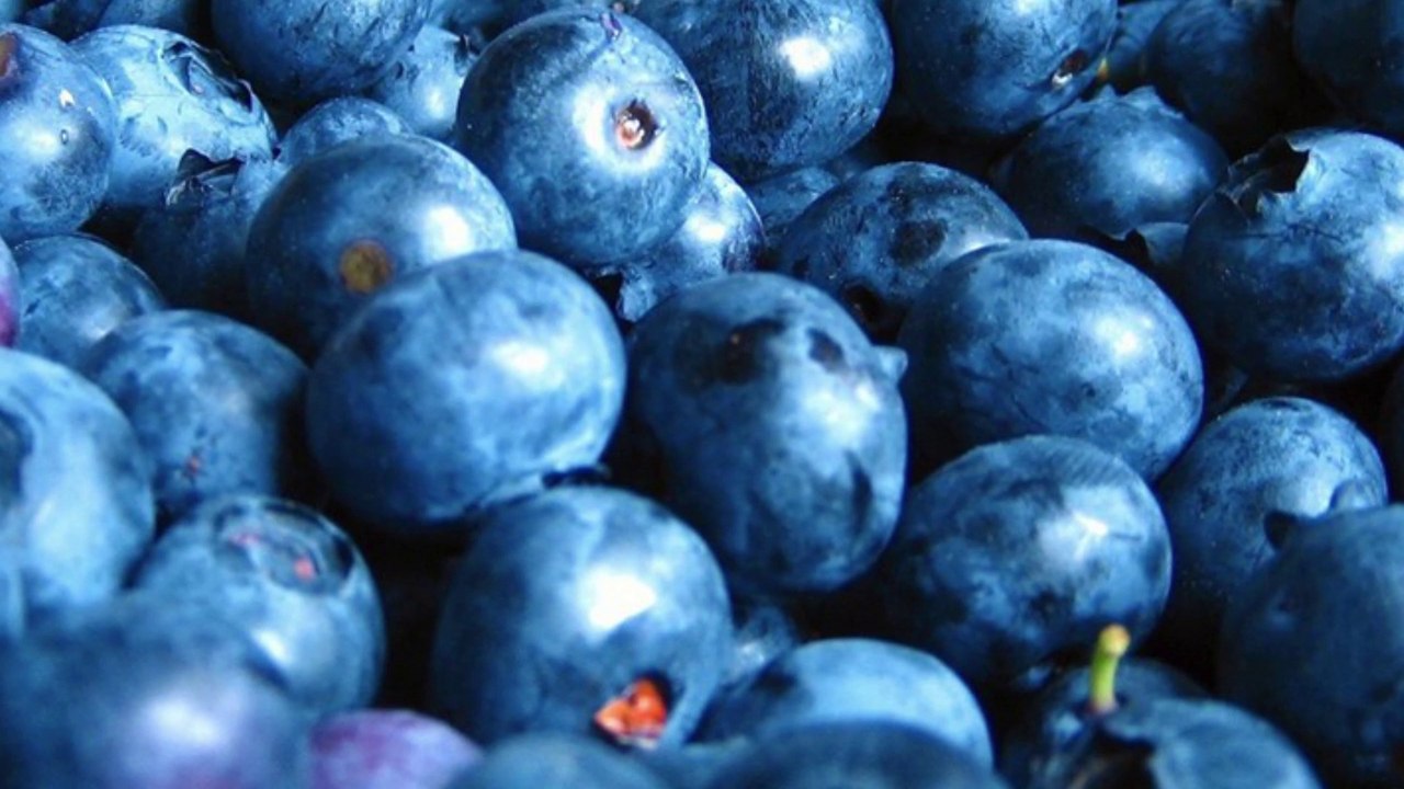 TOP 6 FOODS BOOST IMMUNITY SYSTEM