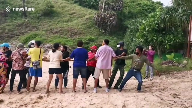 Dozens of beachgoers drag pick-up truck to safety after it was washed away by sea