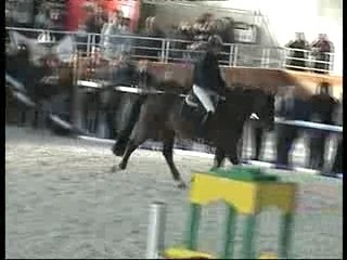 As King de PLEVILLE - Top sire 2008