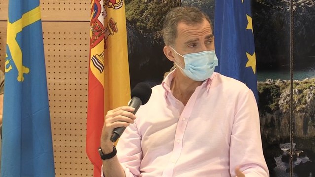 Felipe VI: Saldremos adelante con unión, responsabilidad y solidaridad