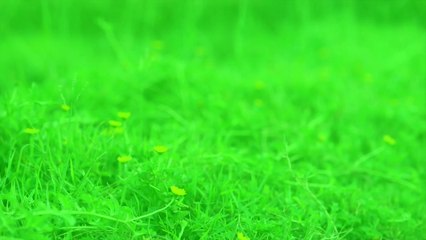 Four Seasons | We Do It All | 208-678-3660