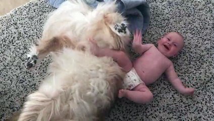 Dog Copies Baby Best Friend