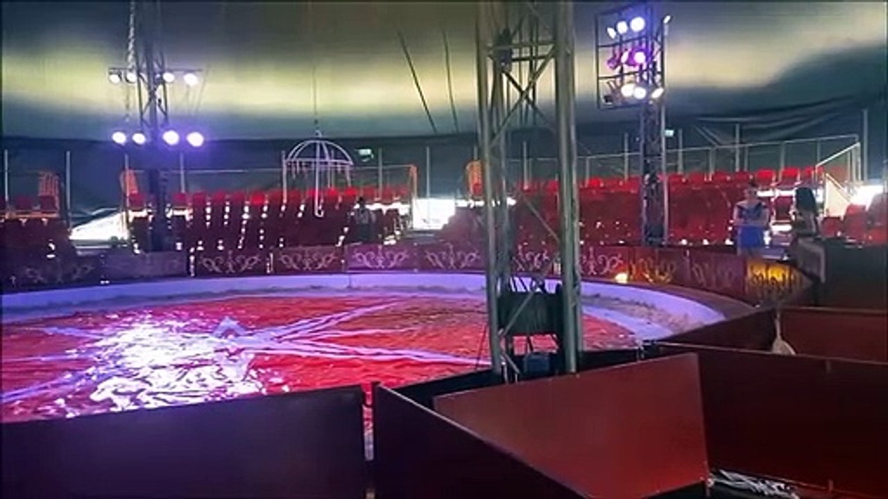 Here comes the Wonder Circus!