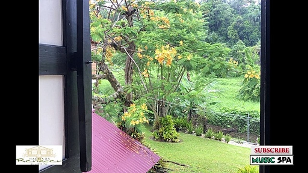 "UN DÍA MÁS" Poema Por: Zoé - Hacienda renacer de Lares - Puerto Rico & Music Spa.