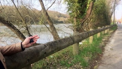 ES-0003 Dios no obliga, Dios protege