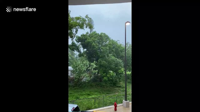 Tropical Storm Isaías hits Puerto Rico with sustained winds of 60 mph