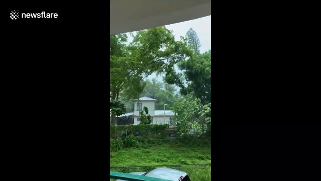 Longer version- Tropical Storm Isaías hits Puerto Rico with sustained winds of 60 mph