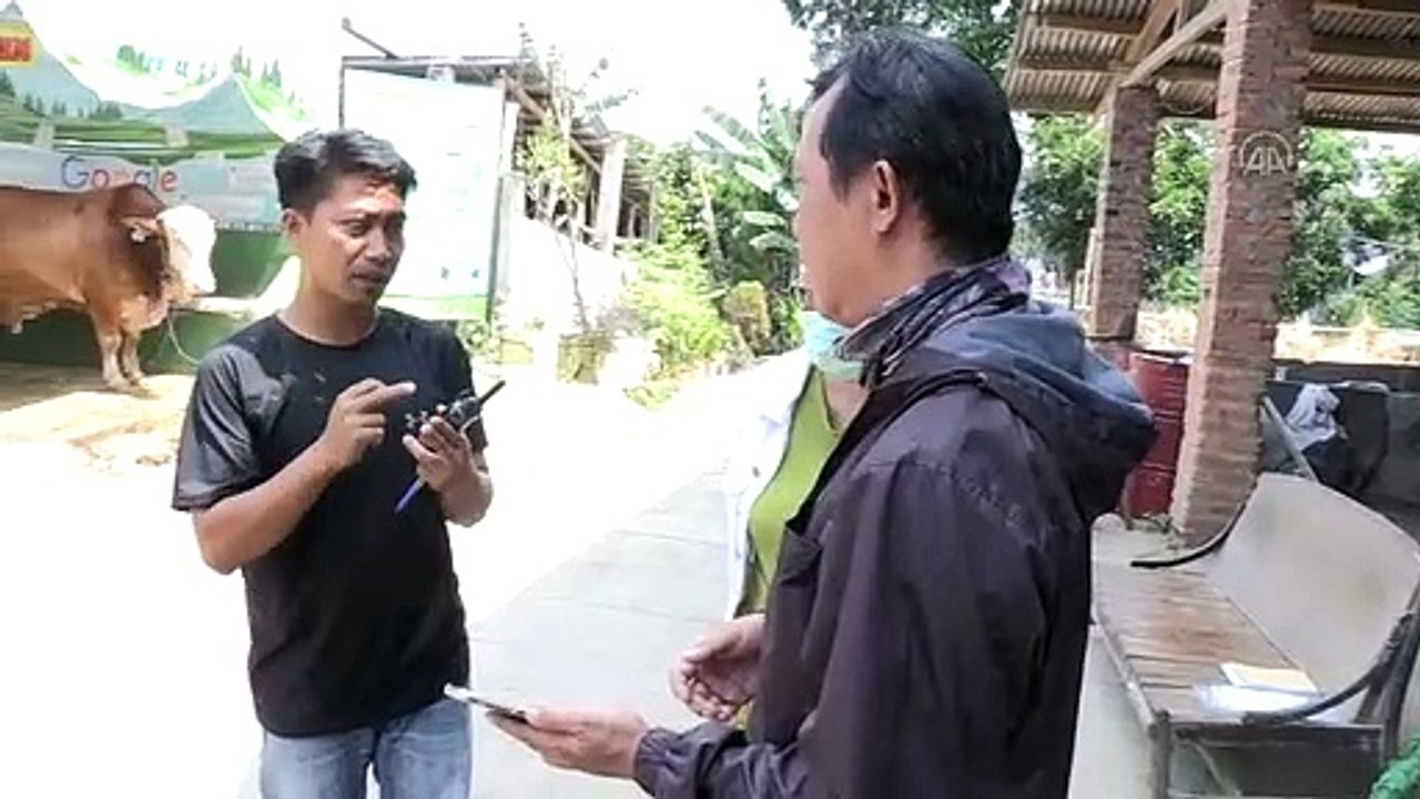 Sapi Lokal Jadi Favorit Warga