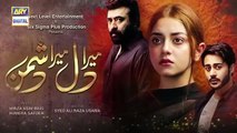 Mera Dil Mera Dushman Episode 43 Teaser ARY Digital Drama