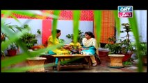 Bubbly Kya Chahti Hai Episode 55 & 56 - ARY Zindagi Drama