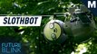 Georgia Tech built a ‘slothbot’ that slowly climbs through trees — Strictly Robots