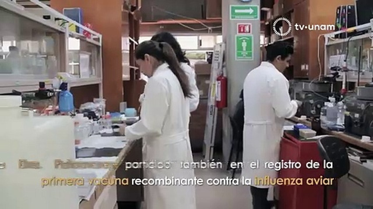 UNAM desarrolla un proyecto de vacuna contra COVID 19
