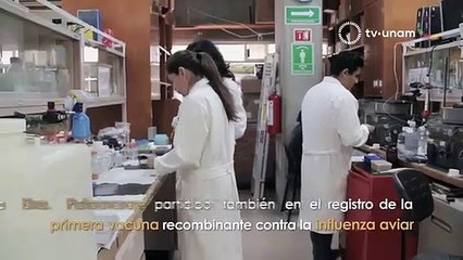 UNAM desarrolla un proyecto de vacuna contra COVID 19