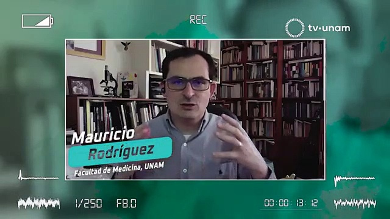 Vacunas COVID 19, clave para enfrentar la pandemia