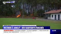 Incendie à Anglet: une vingtaine d'hectares ont été ravagés par les flammes, selon la municipalité