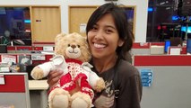 Missing Teddy Bear With Late Mom’s Message Returned