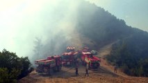 Bakan Pakdemirli, Balçova'daki orman yangınını havadan inceledi - İZMİR