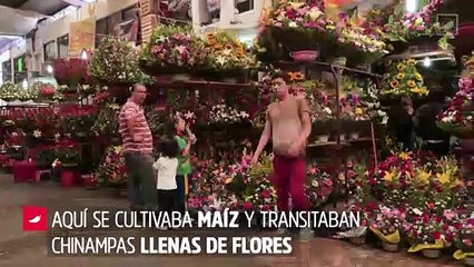 ¿Conoces el Mercado de Jamaica de la CDMX? | CHILANGO