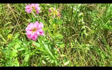 How to subscribe a you tube channel