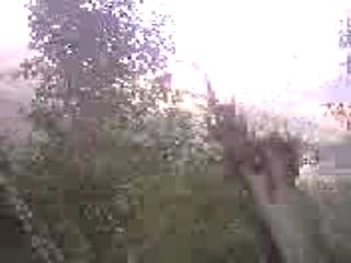 PALESTRO-KABYLIE-ALGERIE