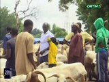 ORTM - Constat de la hausse des prix des moutons jugés excessifs par la population