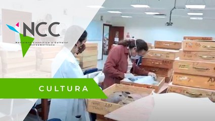 Ecua­dor re­pa­tria ves­ti­gios de una de las cul­tu­ras más an­ti­guas de Amé­ri­ca