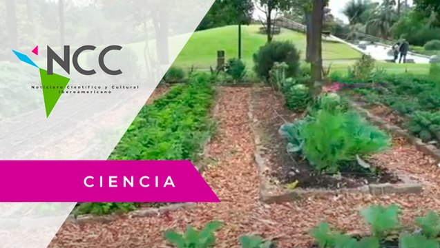 El Jar­dín bo­tá­ni­co de Bo­go­tá ofre­ce ase­so­rías vir­tua­les para crear cul­ti­vos ur­ba­nos