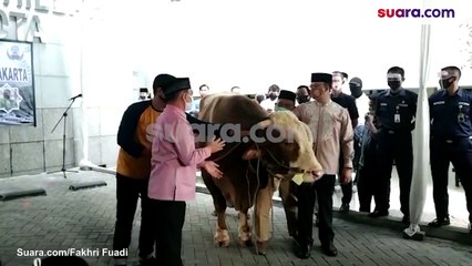 Anies dan Riza Serahkan 2,3 Ton Sapi ke Masjid Balai Kota