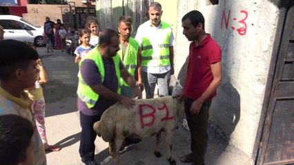 Görme engelli yetime kurban sürprizi