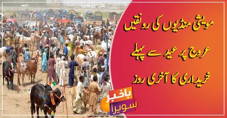 Cattle markets boom as buyers gather on last day before Eid