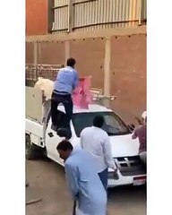 فيديو: لحظة هروب عجل من سيارة النقل والإطاحة بمن حوله