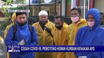 Idul Adha di Tengah Pandemi, Petugas Pakai APD Saat Sembelih Hewan Qurban!