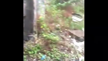 Face masks discarded on Colliery Road in Sheffield