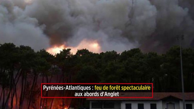 Pyrénées-Atlantiques : le feu de forêt spectaculaire à Anglet est « maîtrisé »