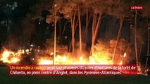 Pyrénées-Atlantiques : le feu de forêt spectaculaire à Anglet est « maîtrisé »
