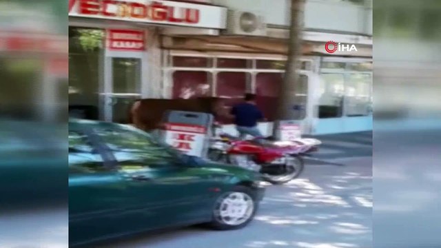 Kaçan kurbanlık boğa çarşıyı birbirine kattı