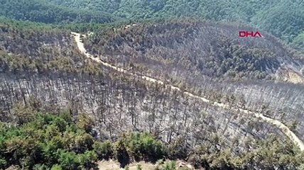 Yenice'de yanan alanlar drone ile görüntülendi