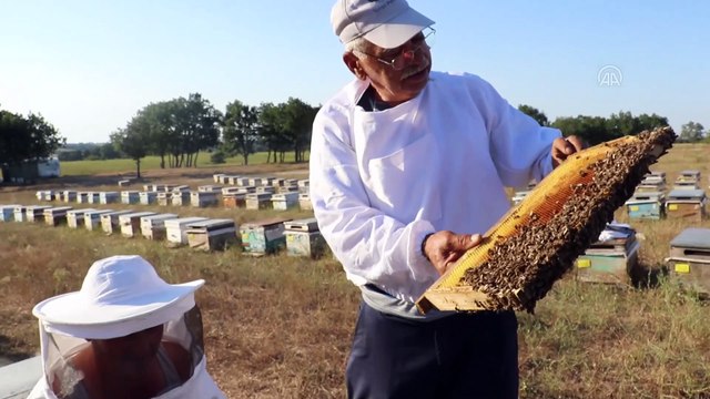 Gezgin arıcıların merada geçen buruk bayramı (1) - KIRKLARELİ