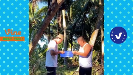 New Funny Videos 2020 ● People doing stupid things P160 ( 1080 X 1920 )