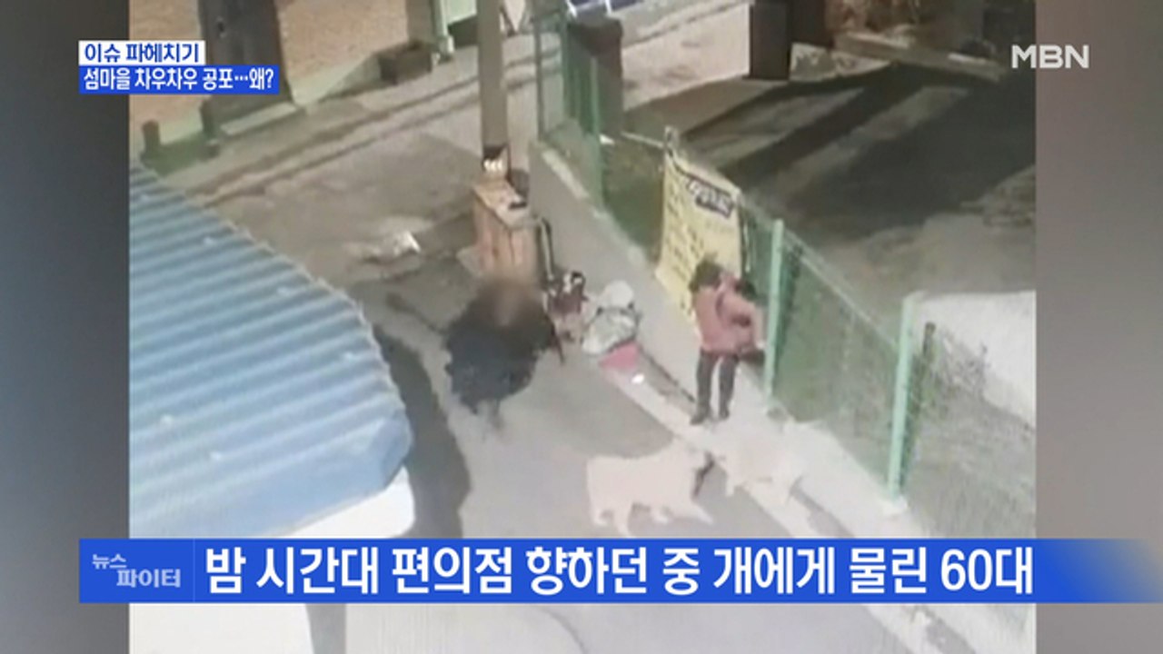 MBN 뉴스파이터-차우차우 때문에 공포에 휩싸인 섬마을