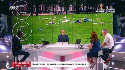 Déchets sur les routes: sommes-nous des porcs ? - 31/07
