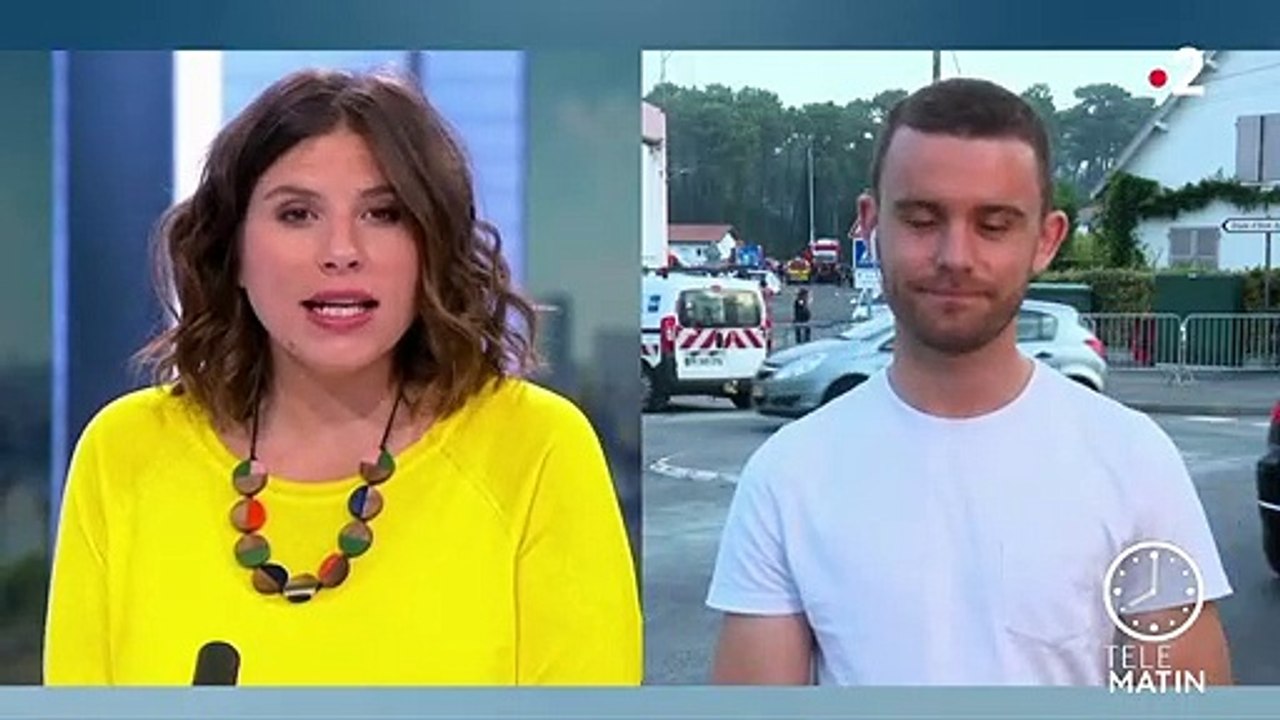 Pyrénées-Atlantiques : 100 hectares de forêts ravagés à Anglet