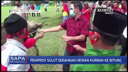 Gubernur Serahkan Bantuan Hewan Kurban Ke Pemkot Bitung