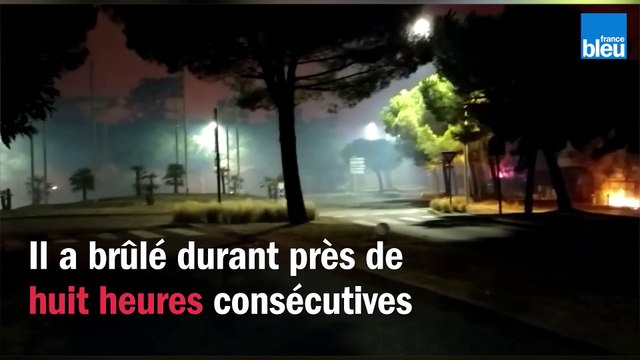Incendie à Anglet dans la forêt de Chiberta
