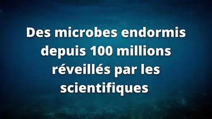 Des microbes endormis depuis 100 millions d'années réveillés par les scientifiques