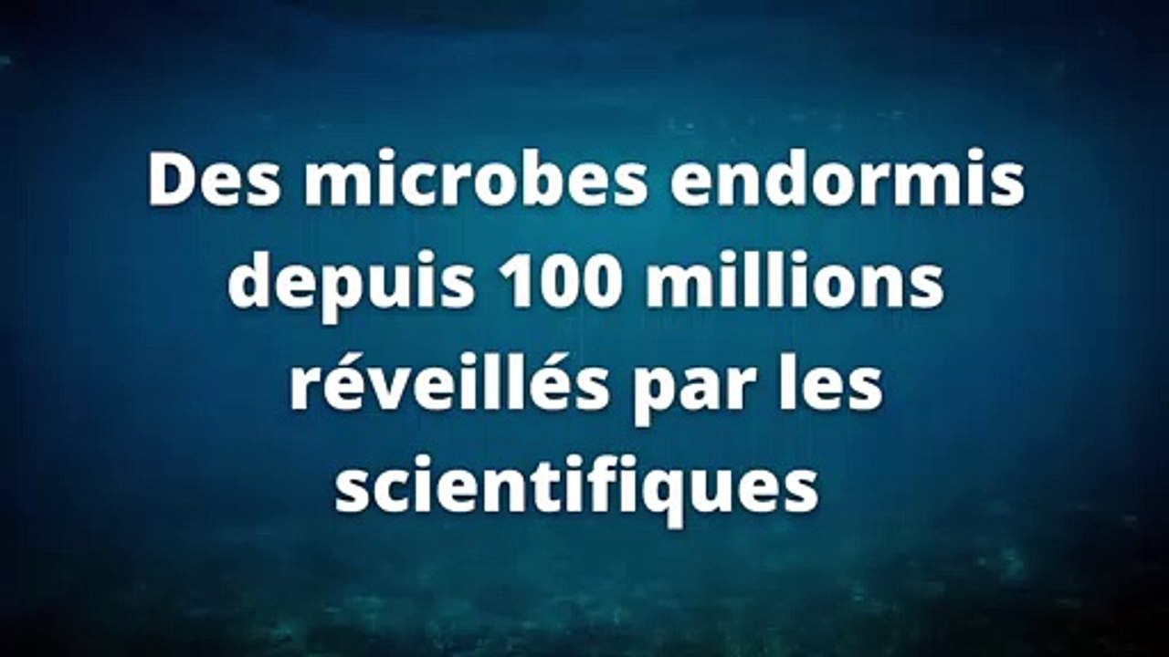 Des microbes endormis depuis 100 millions d'années réveillés par les scientifiques