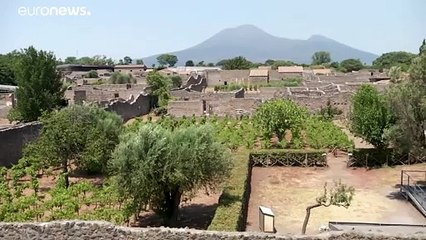 "Venustas": la bellezza e l'estetica tra le rovine di Pompei